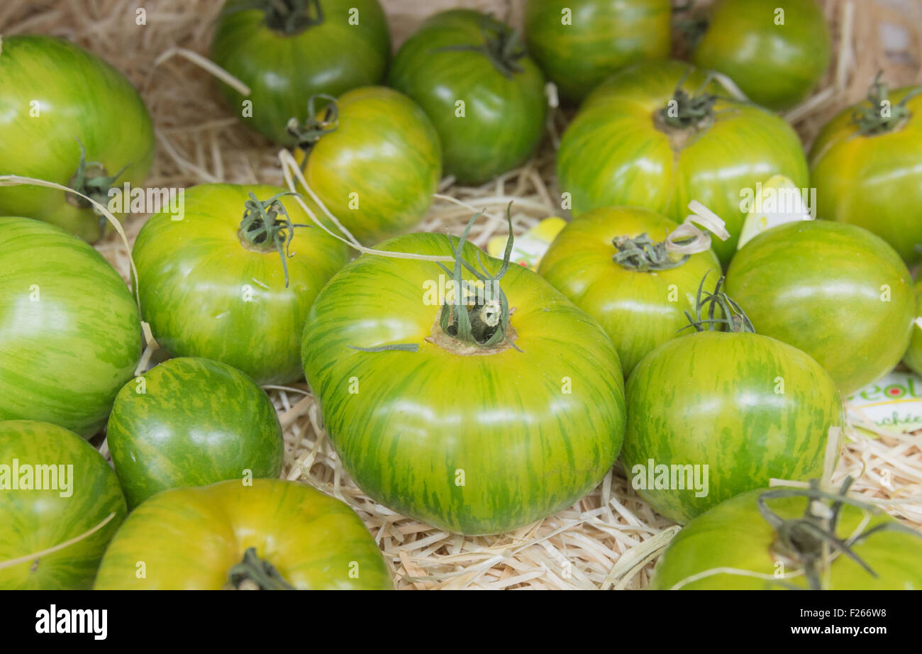 Stack of organic green tomatoes at the market Stock Photo