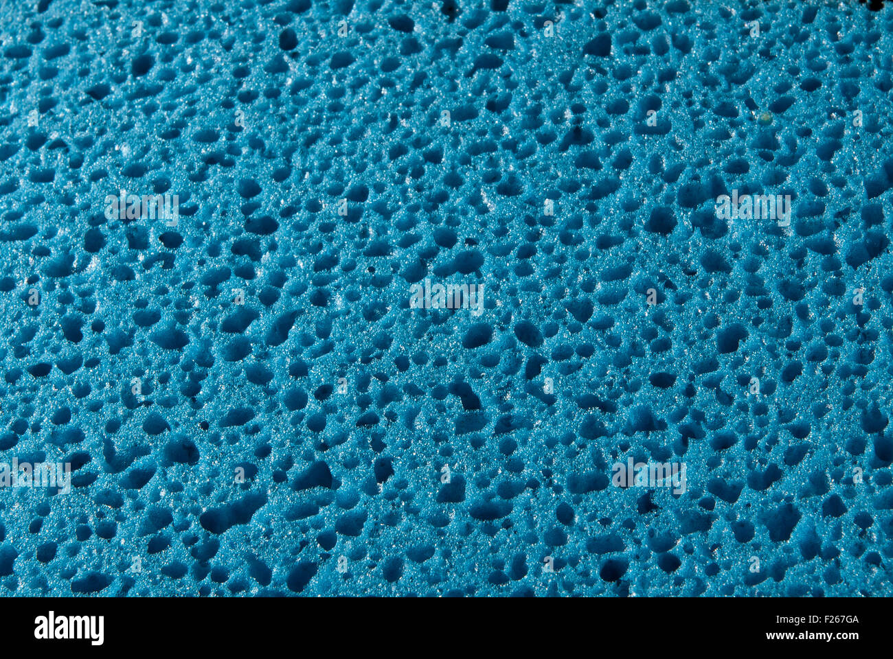 macro blue sponge under microscope Stock Photo - Alamy