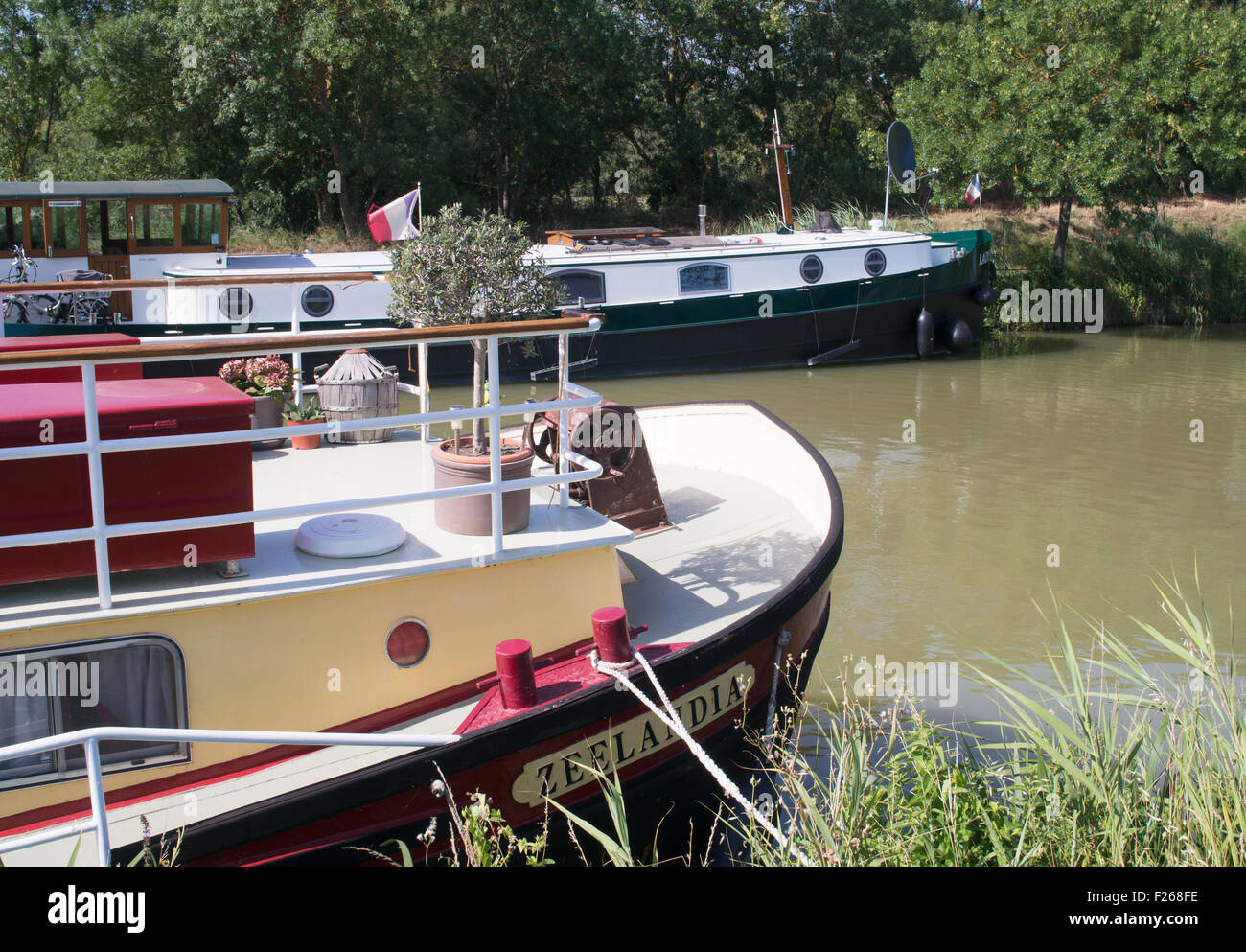 House boats moored on the Canal du Midi at Vias, Hérault, Languedoc-Roussillon, France Stock Photo
