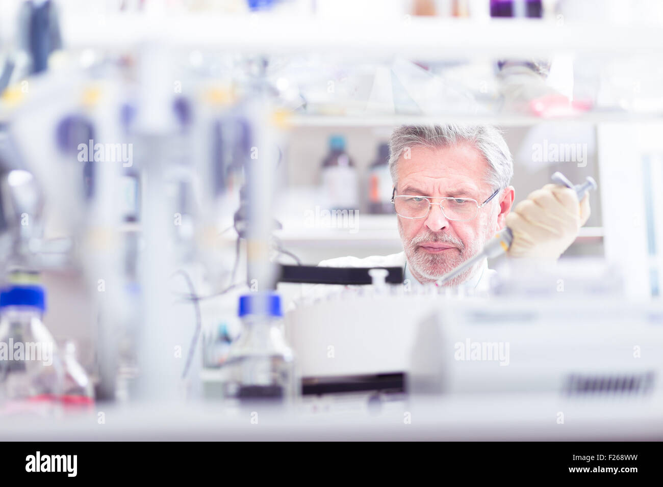Life scientist researching in the laboratory Stock Photo Alamy