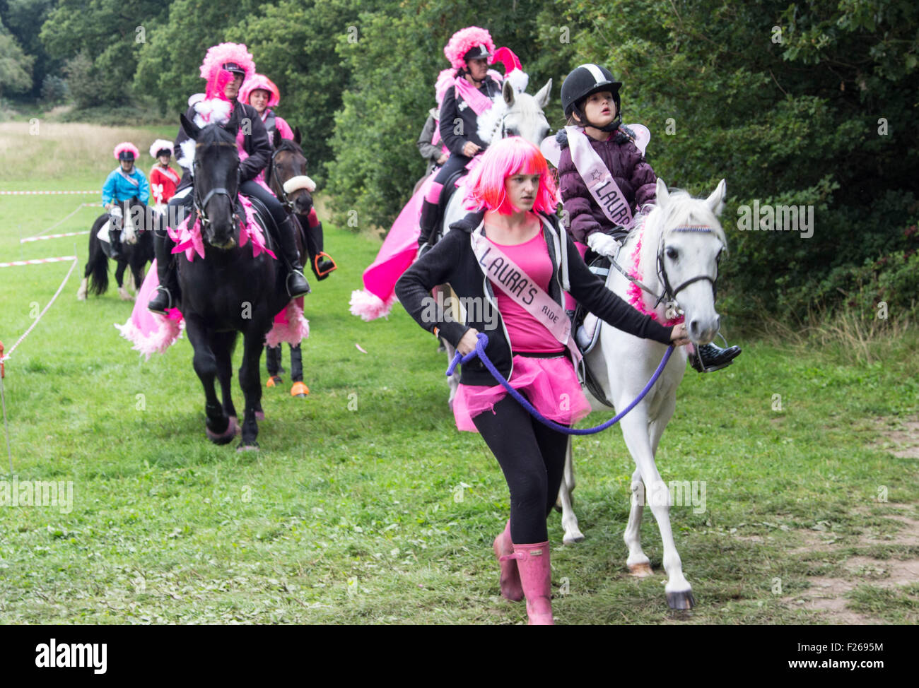 Essex horse and pony protection society hires stock photography and