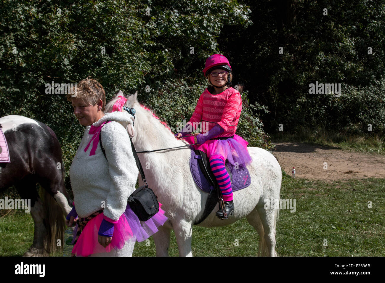Essex horse and pony protection society hires stock photography and