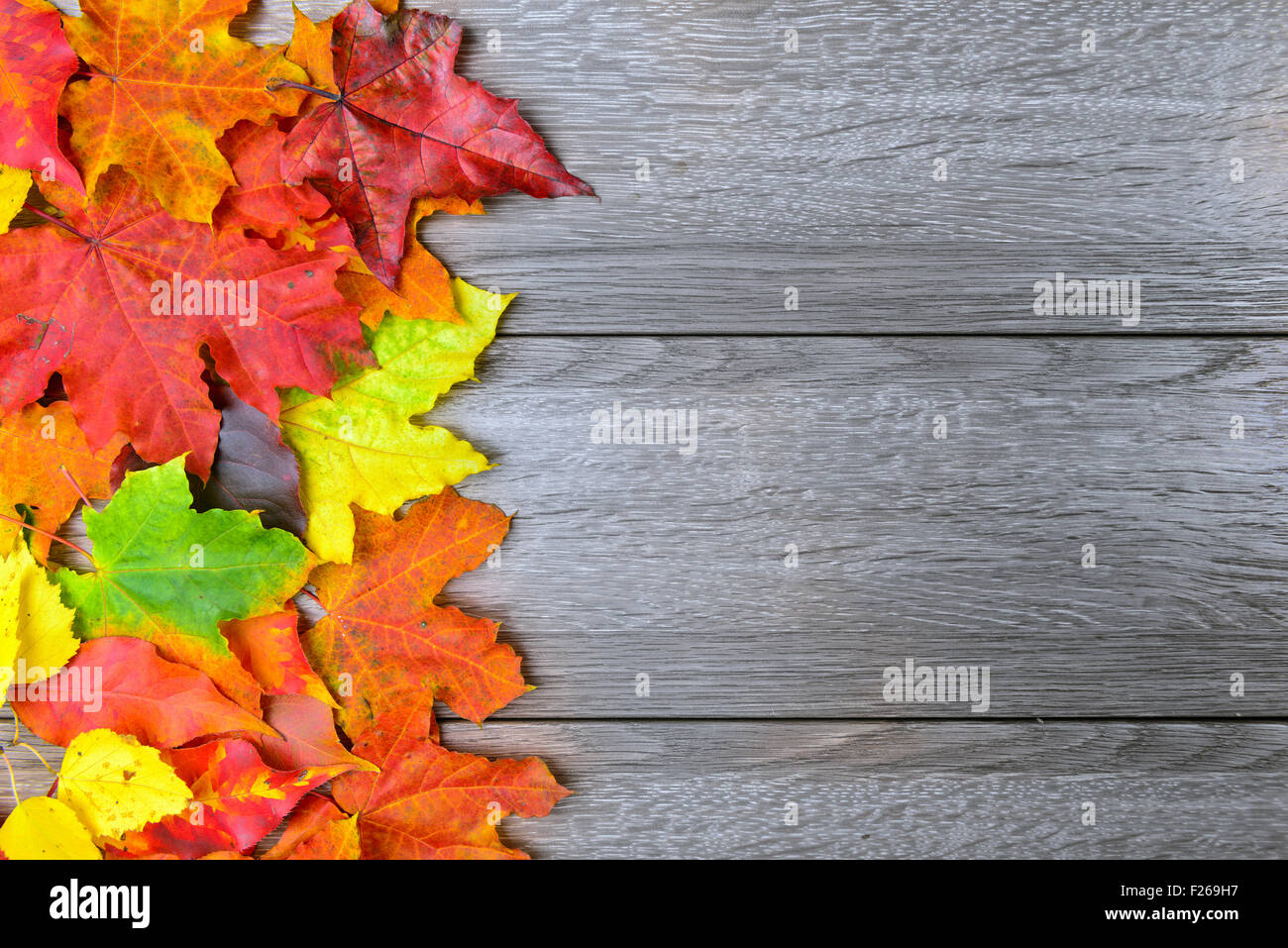 Autumn leaves over wooden background with copy space Stock Photo - Alamy