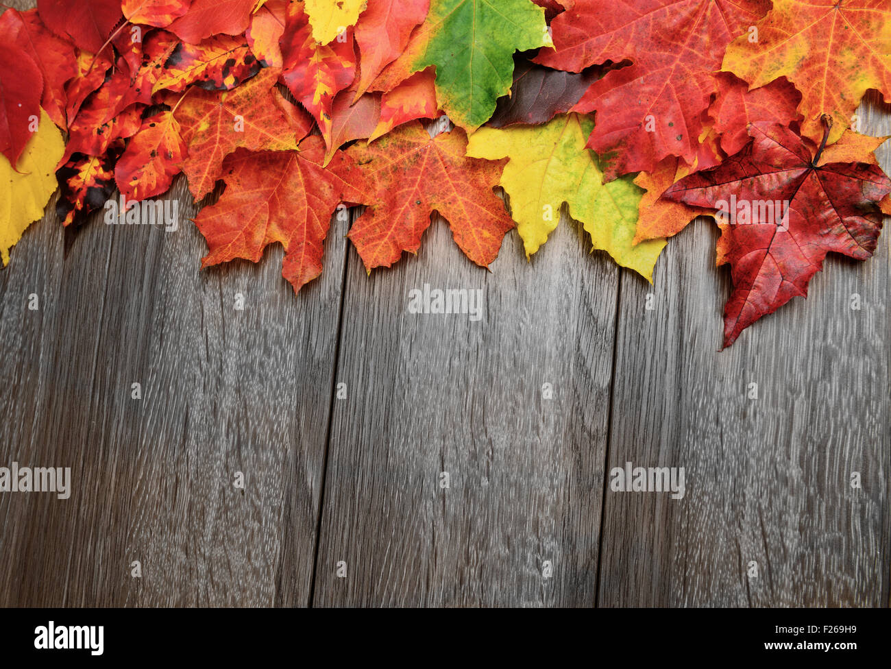 Autumn leaves over wooden background with copy space Stock Photo - Alamy