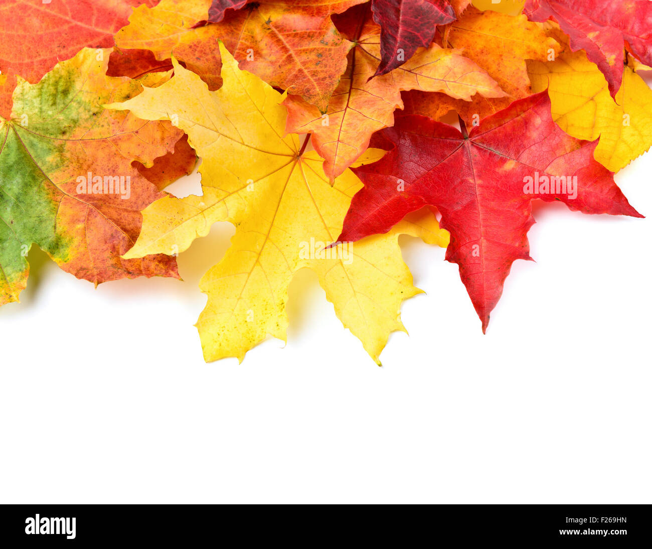 The surface of the dried leaves on the ground is an aesthetic background in  the garden forest and autumn colors Stock Photo - Alamy