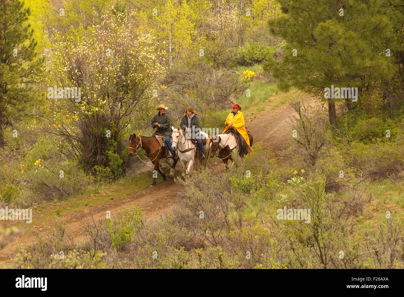 Ride to Rendezvous horse riders, Methow Wildlife Area, Washington Stock Photo