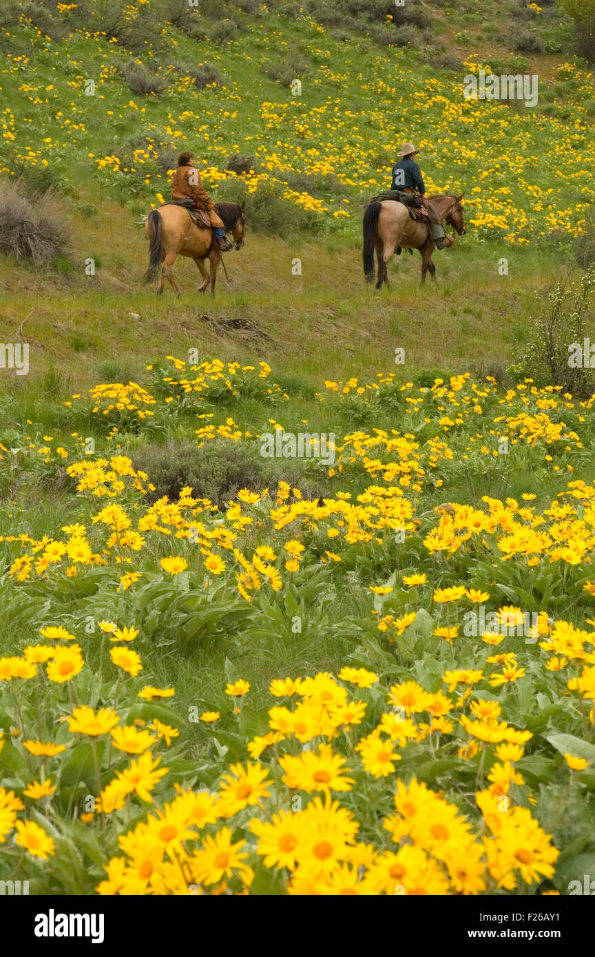 Ride to Rendezvous horse riders, Methow Wildlife Area, Okanogan County, Washington Stock Photo