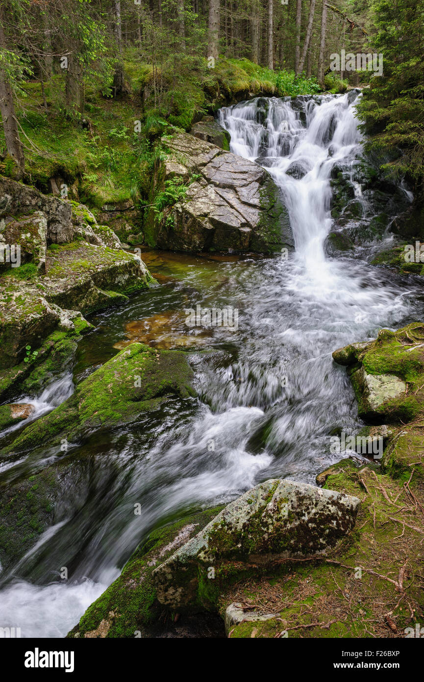 waterfall in deep forest at mountains Stock Photo