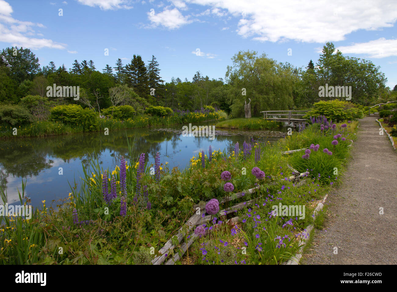 Andrews lake hi-res stock photography and images - Alamy