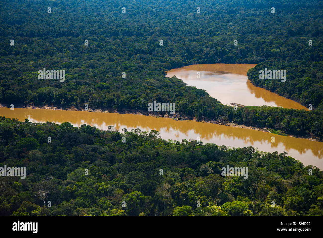 Rainforest aerial, Yavari River and primary forest, Amazon Region, Brazil in foreground, Peru on far bank Stock Photo