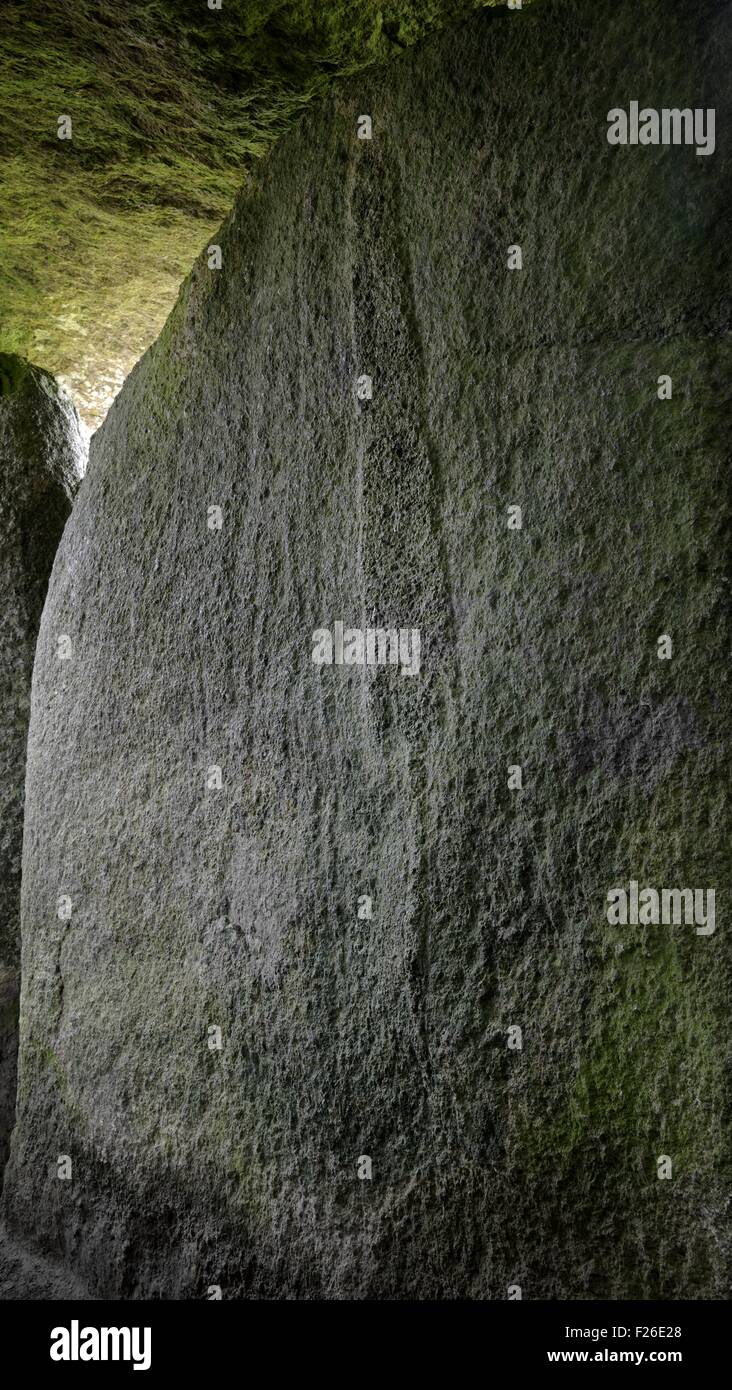 Engravings inside 5000 year prehistoric passage grave allee couverte of Mougau Bihan. Commana, Finisterre, Brittany, France Stock Photo