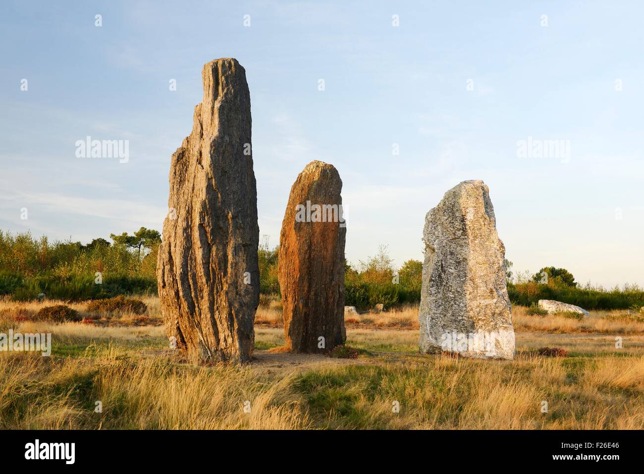 Landes de Cojoux, Saint-Just, Brittany. Part of the Moulin prehistoric menhir alignments on the east end of the Cojoux ridge Stock Photo