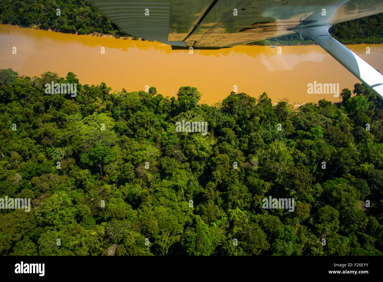 Aerial flying over green forest hi-res stock photography and images - Alamy