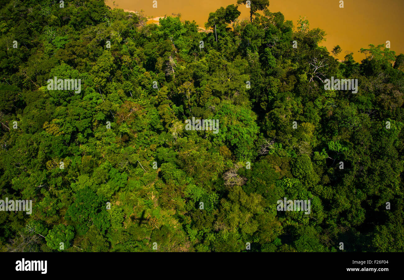 Amazon rainforest canopy hi-res stock photography and images - Alamy