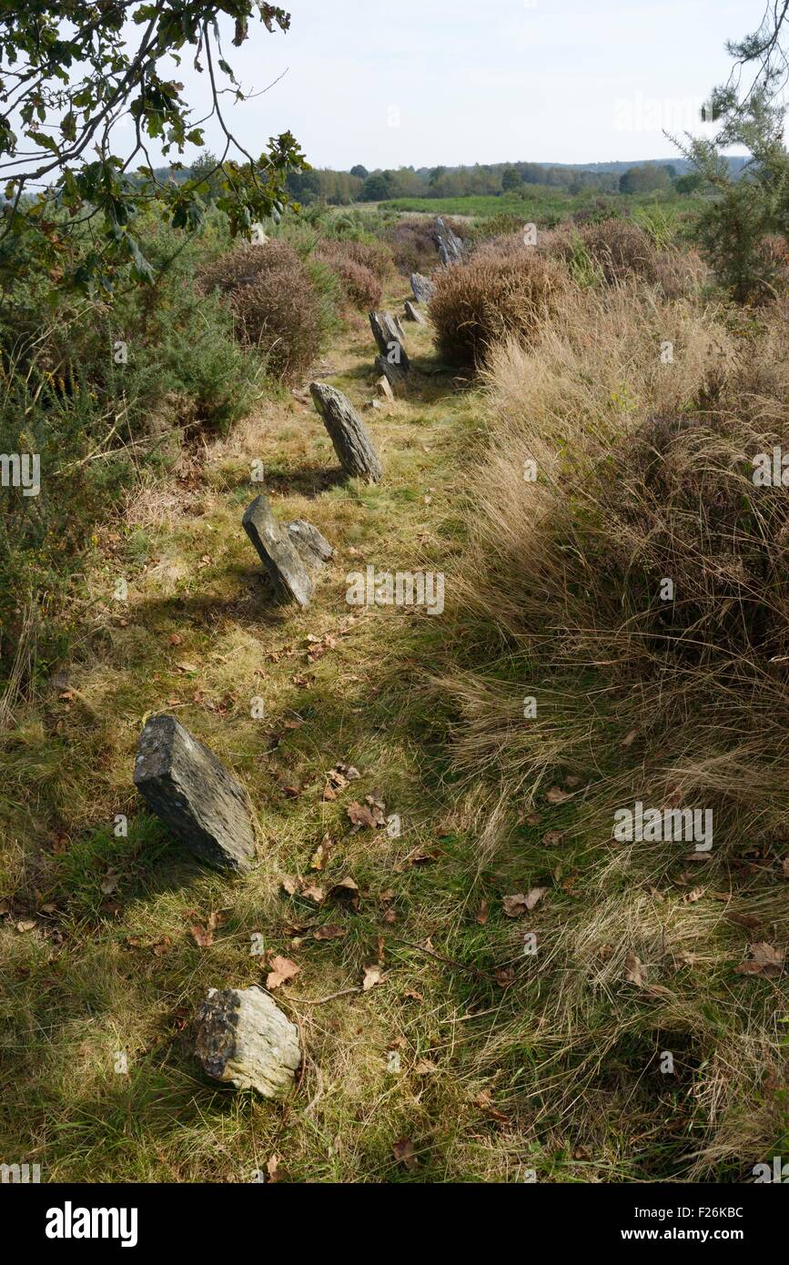 Landes de Cojoux, Saint-Just, Brittany, France. Line of stones immediately northeast of passage grave of Croix Saint Pierre west Stock Photo