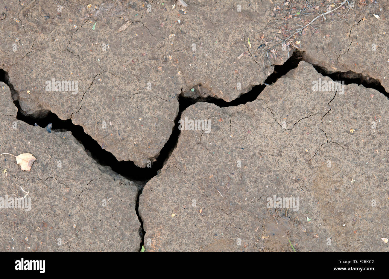 a cracked land close up Stock Photo - Alamy