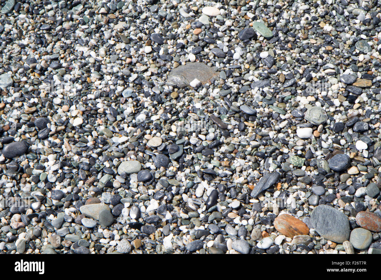 background of wet beach, made up of small gray stones Stock Photo