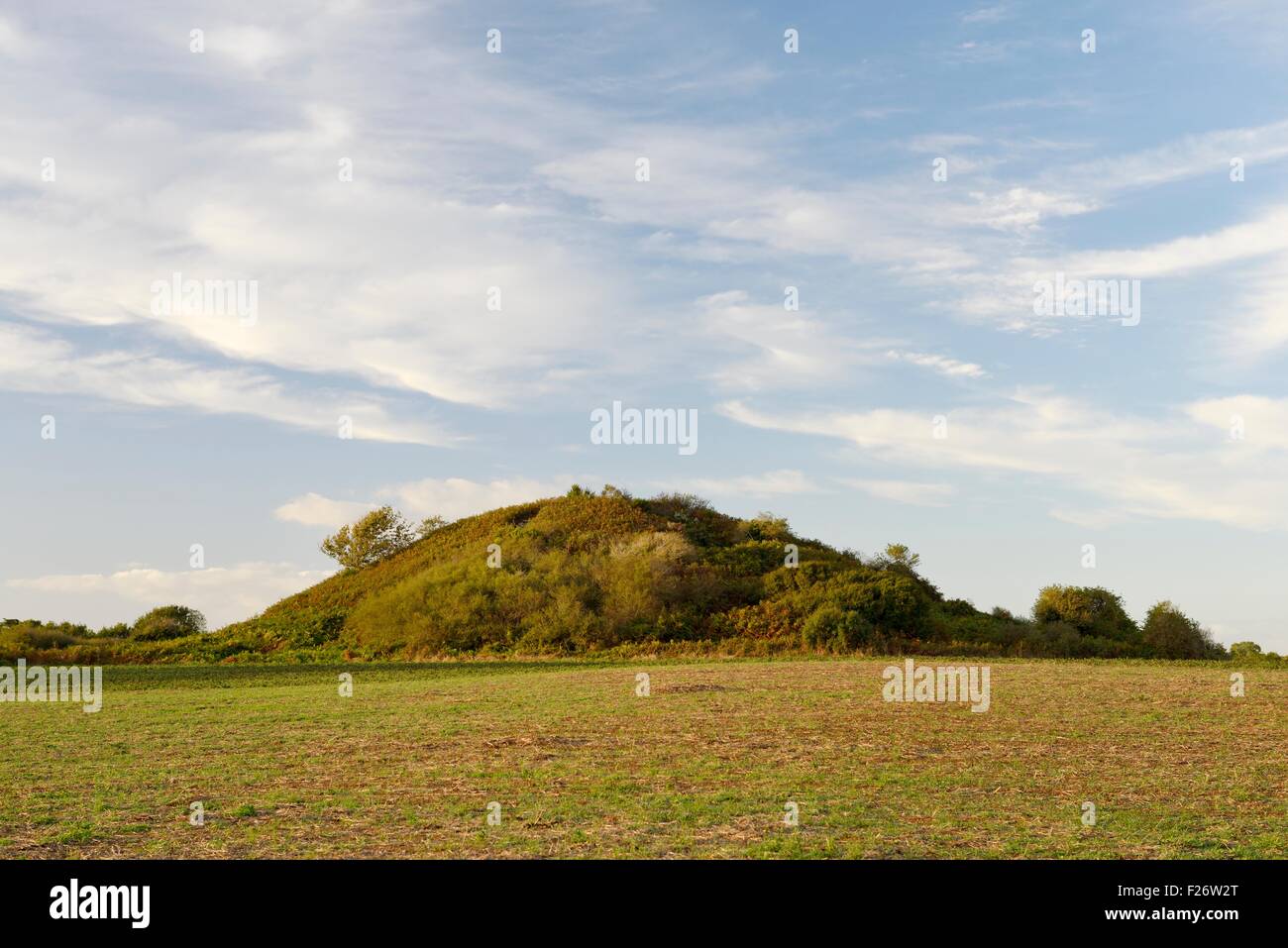 The massive 6500 year old prehistoric burial mound Tumulus of Tumiac also known as Butte de Cesar. Near Arzon, Brittany, France Stock Photo
