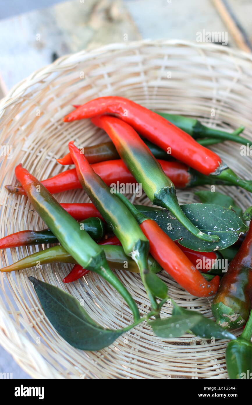 Home grown fresh long green and red chillis Stock Photo