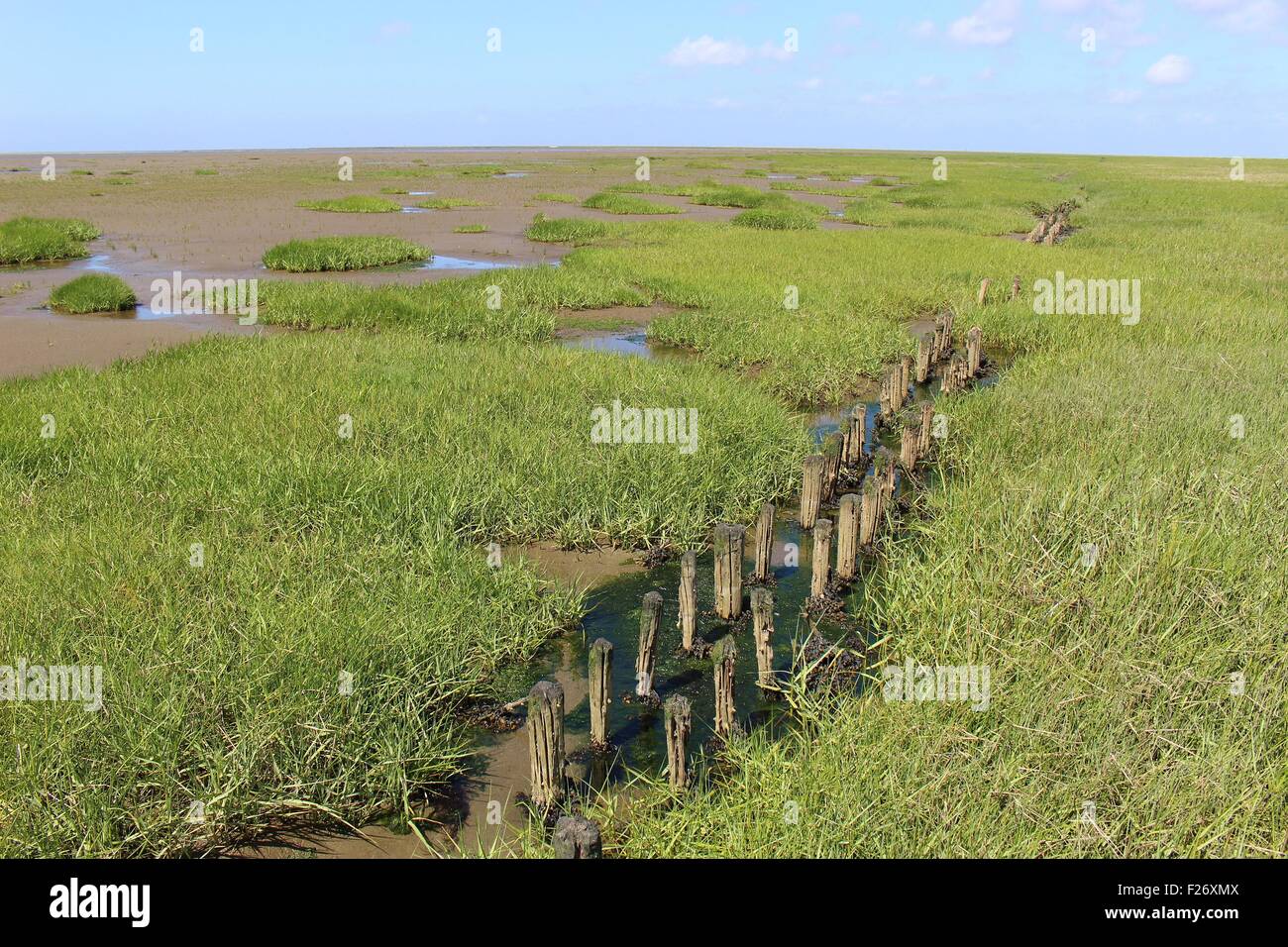 Wadden sea, National Park, Schleswig-Holstein, Germany.  A unique, protected landscape near the dike of Friedrichskoog. Stock Photo
