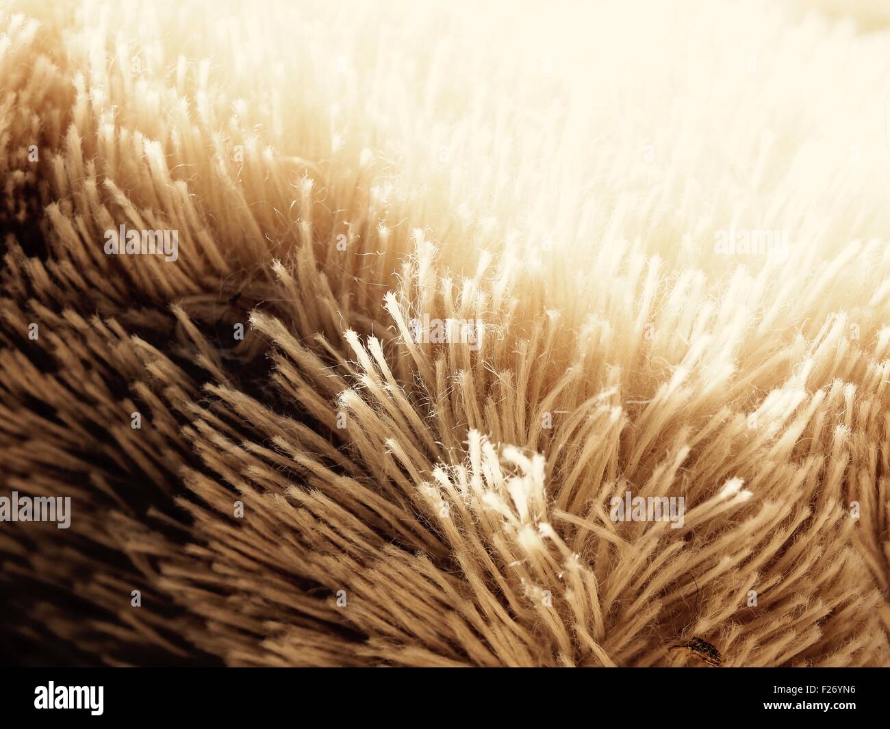 Brown fluffy material Stock Photo Alamy