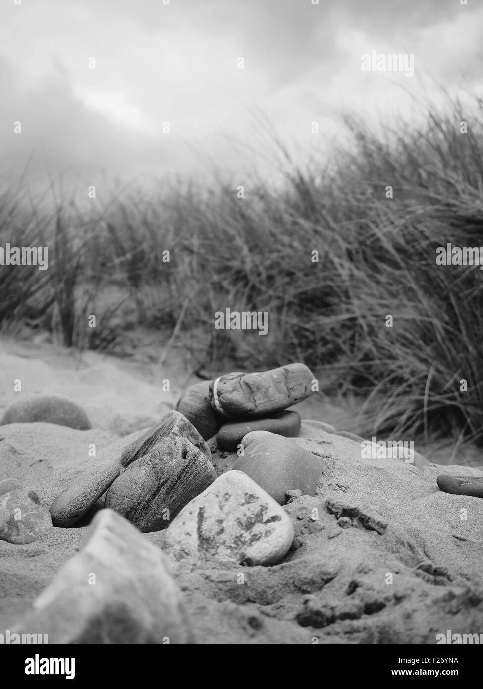 Stones on Gower beach Stock Photo