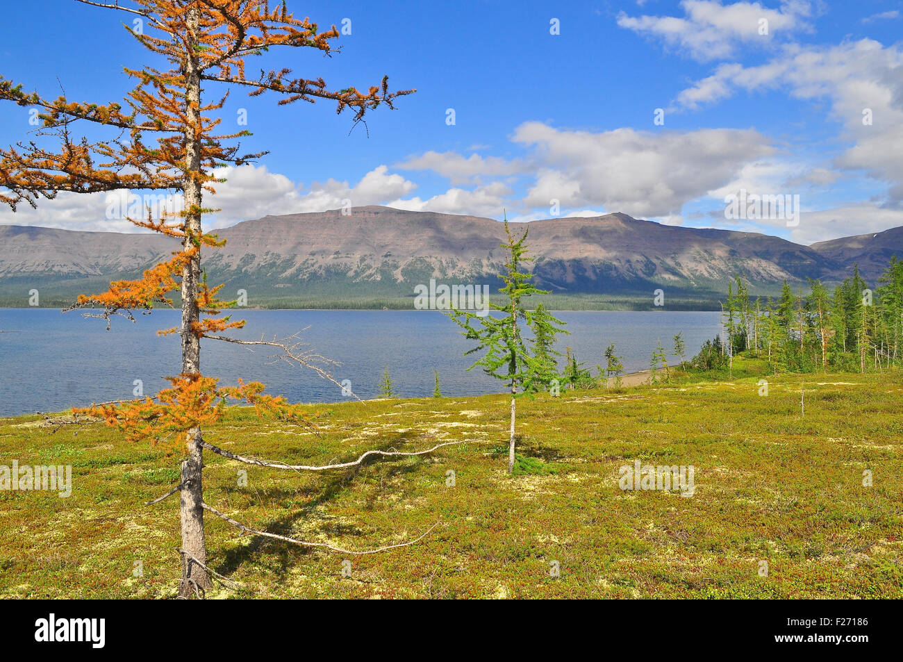 Mountain lake on the Putorana plateau. Water landscape, Putorana plateau, Siberia, Russia. Stock Photo