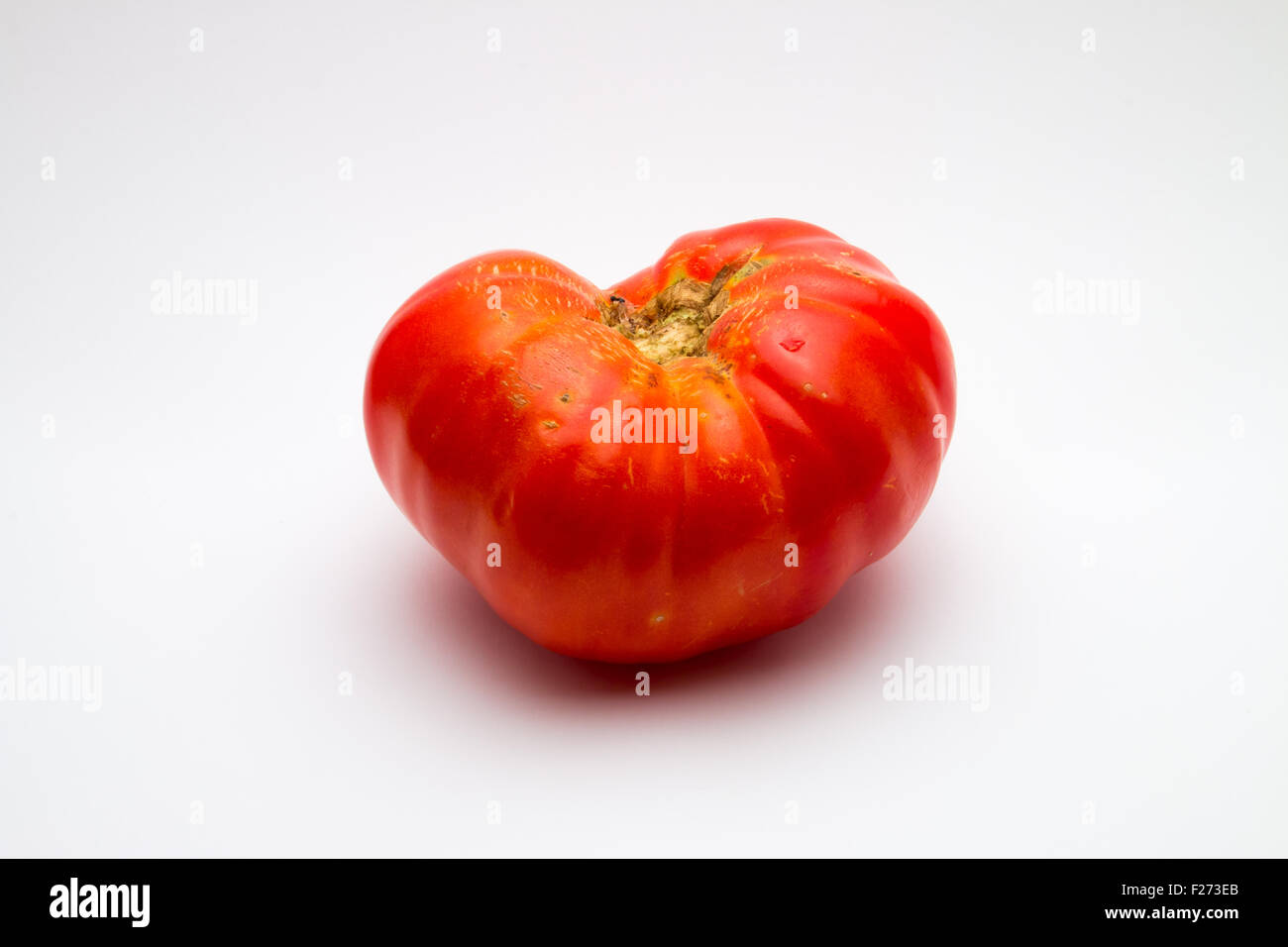 Large, imperfect brandywine tomato (Solanum lycopersicum) on white background Stock Photo