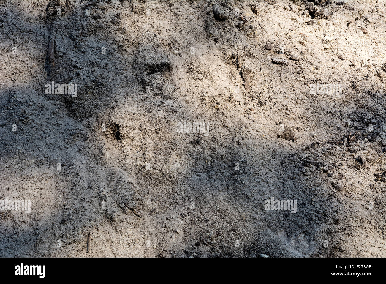Dirty sand texture Stock Photo - Alamy