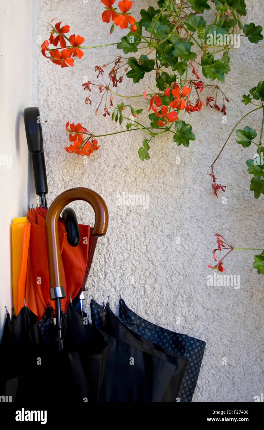 Umbrellas inside an umbrella stand Stock Photo Alamy