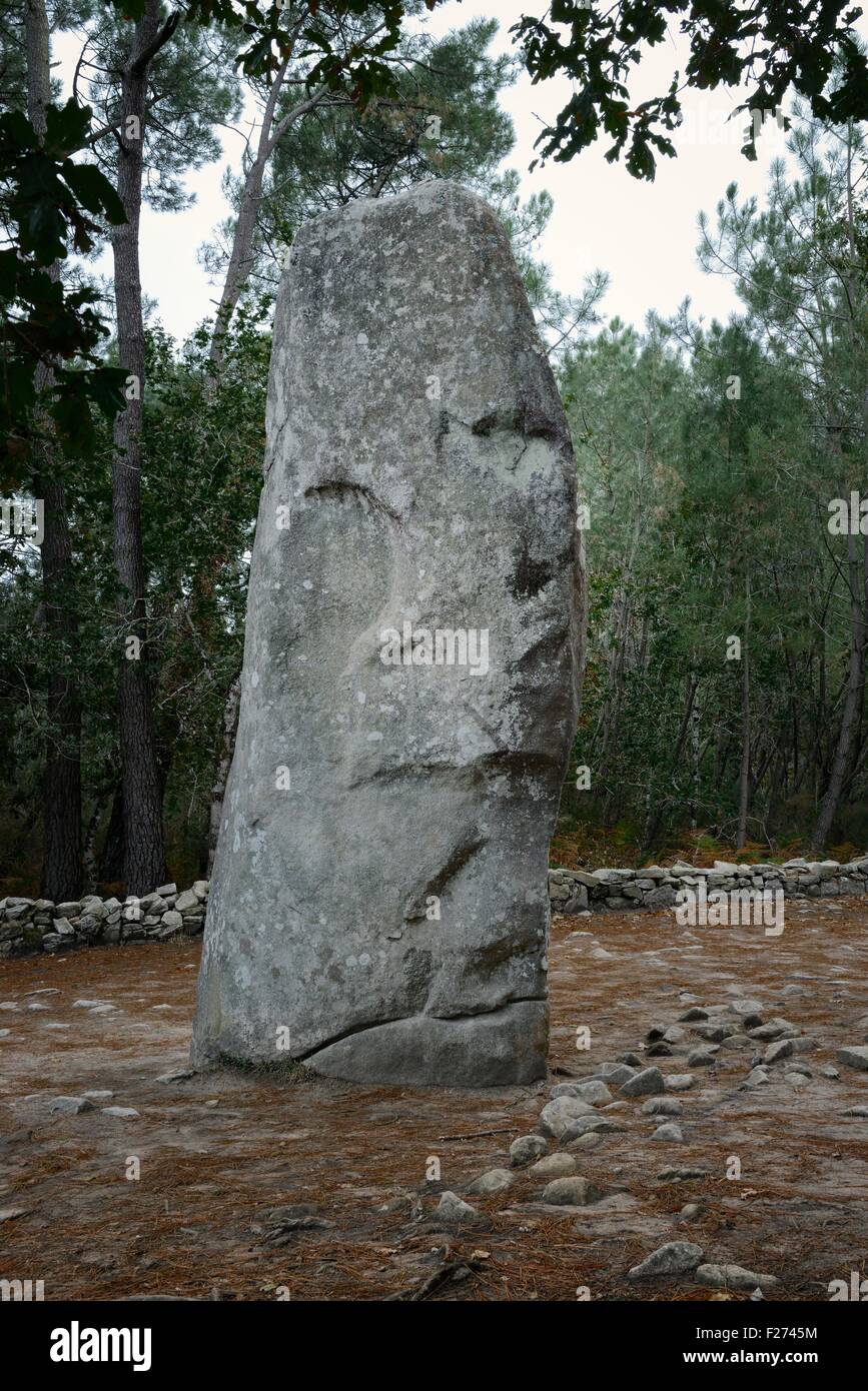 Carnac, Brittany, France. Prehistoric menhir standing stone known as the Manio Giant or Le Geant du Manio Stock Photo