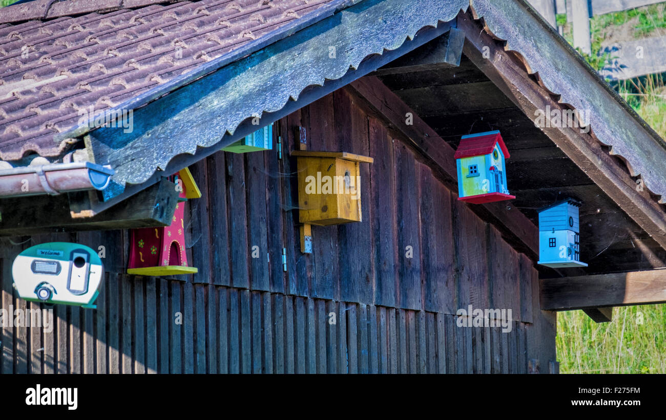 Germany, Bavaria,wooden shed exterior & amusing painted bird nesting houses Stock Photo