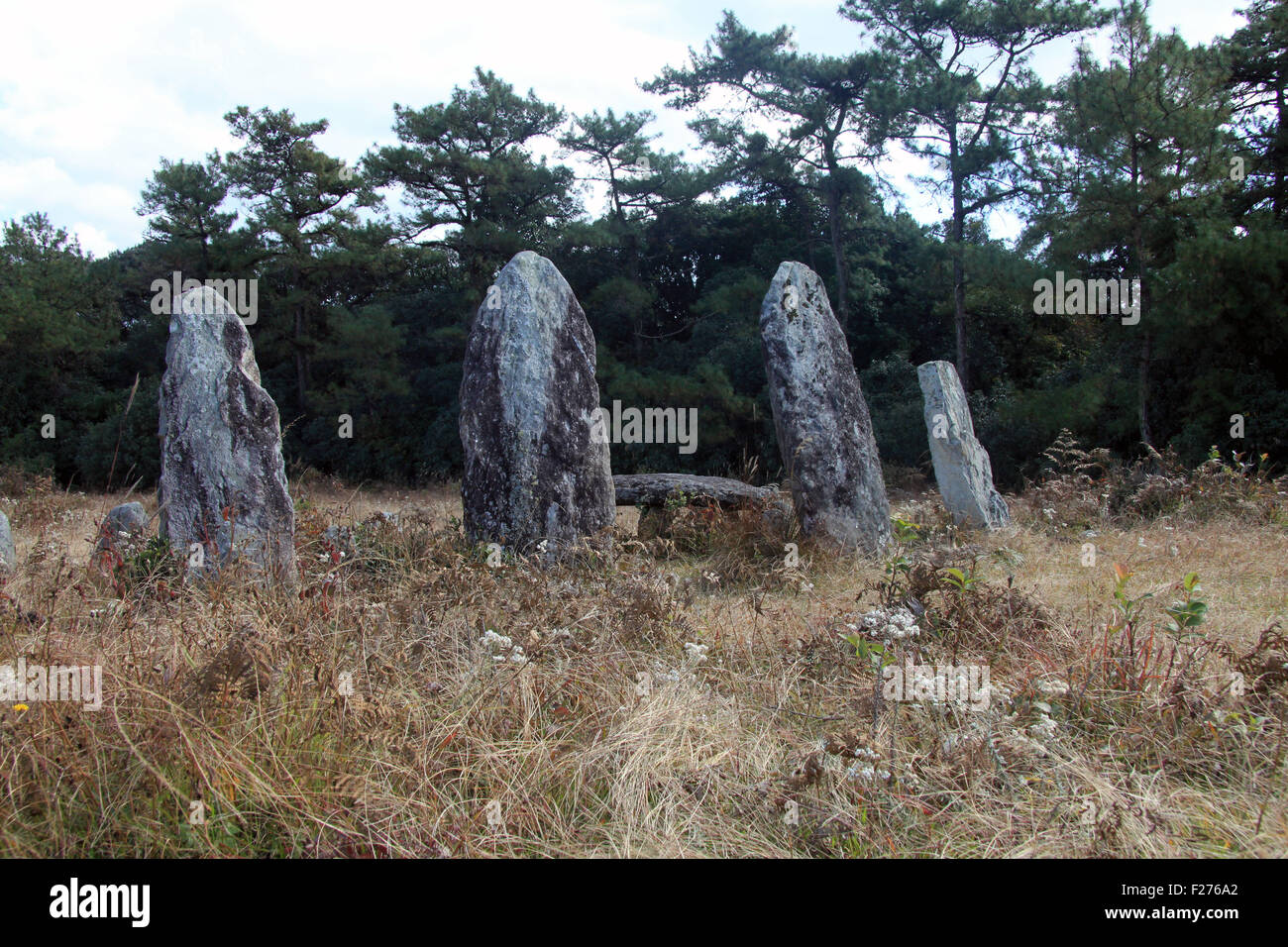 Megaliths on a hillside in northeastern India Stock Photo