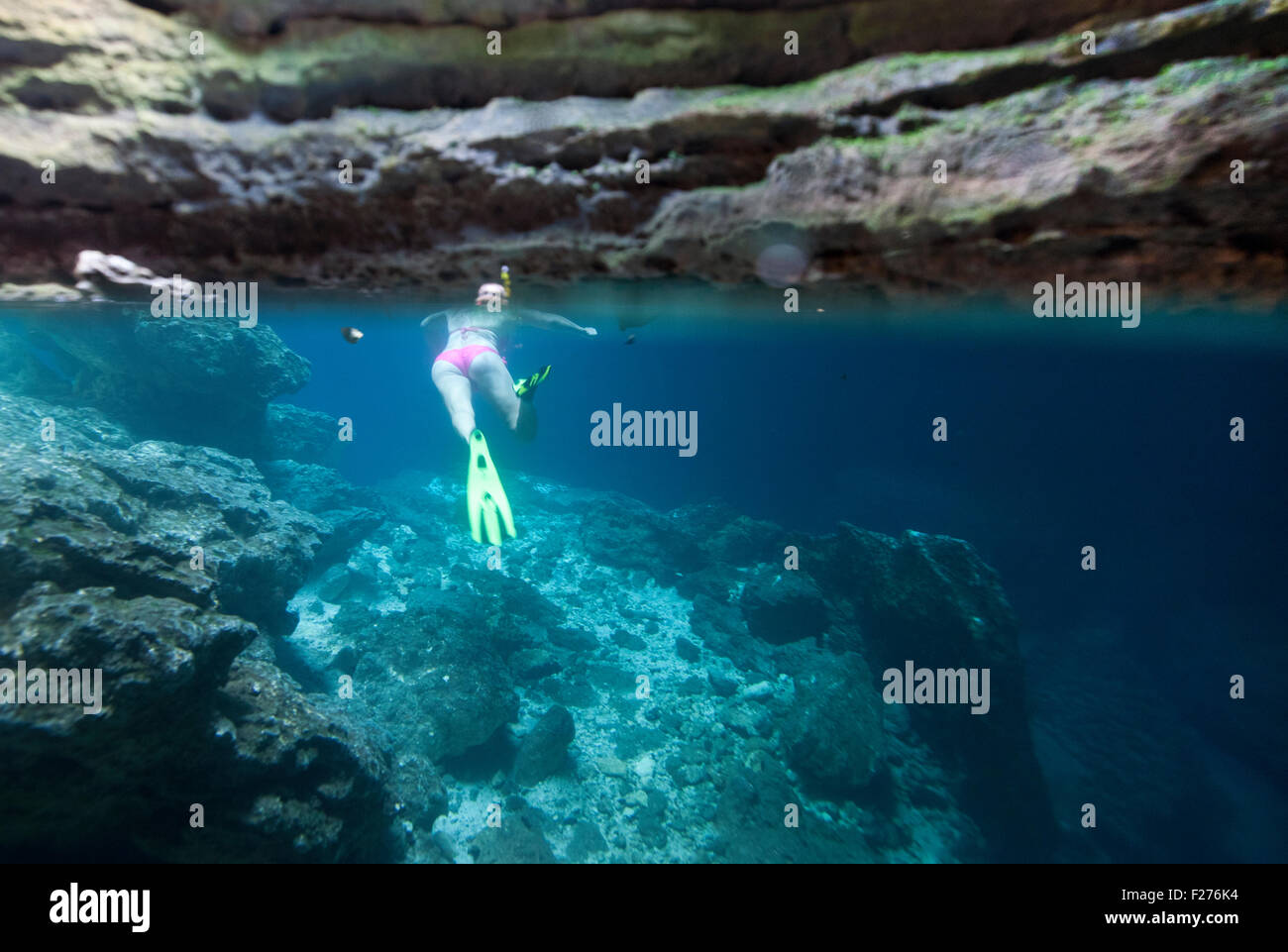 Split shot of a bikini clad Woman Snorkeling in Devils Den Underground