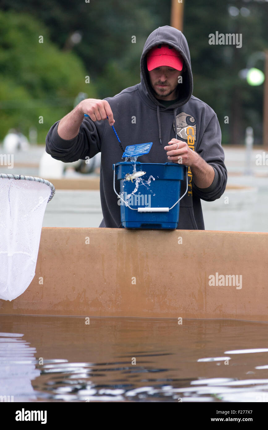 Salmon hatchery alaska hires stock photography and images Alamy