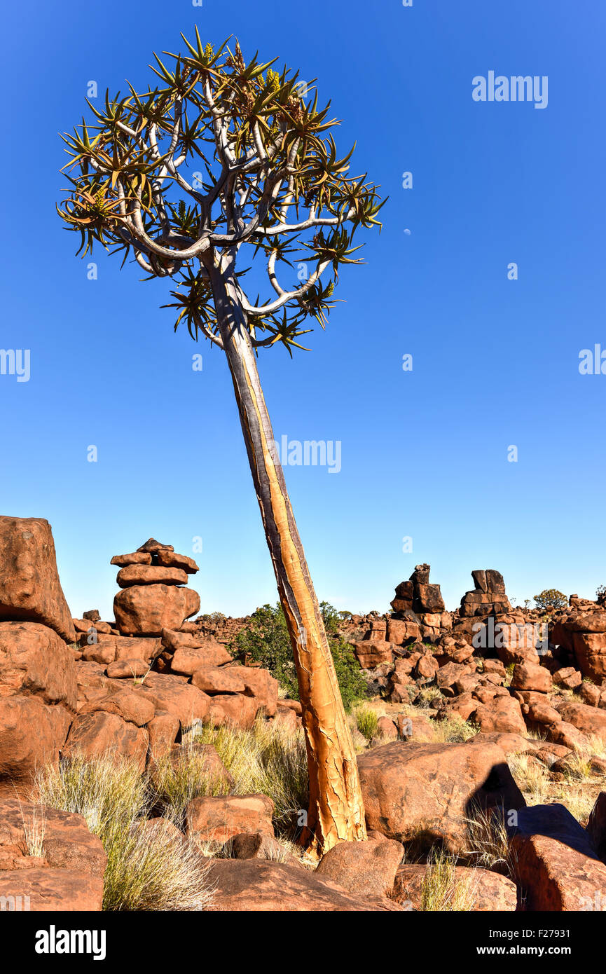 Giant's Playground, a natural rock garden in Keetmanshoop, Namibia. Stock Photo