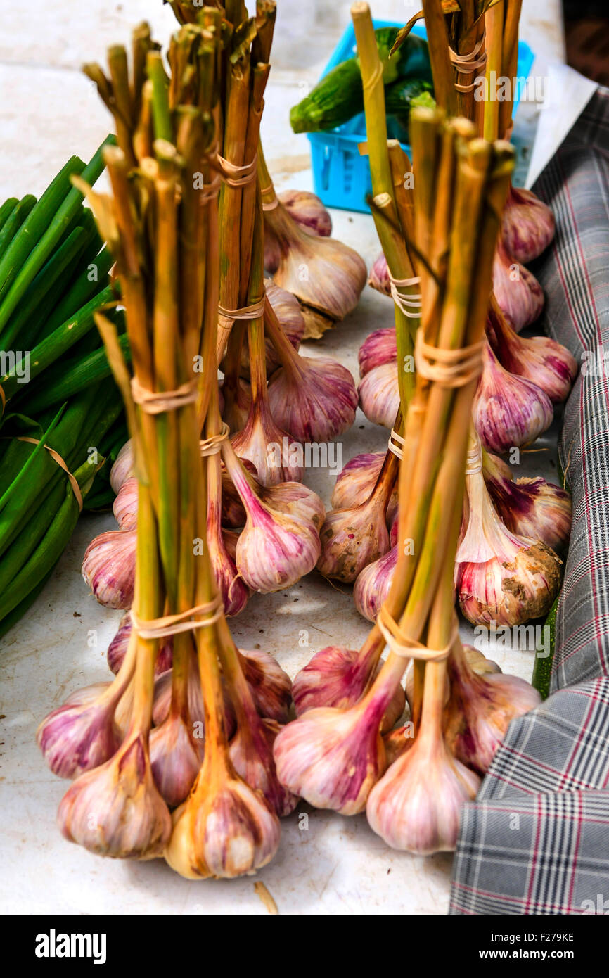 Fresh garlic and cloves hires stock photography and images Alamy