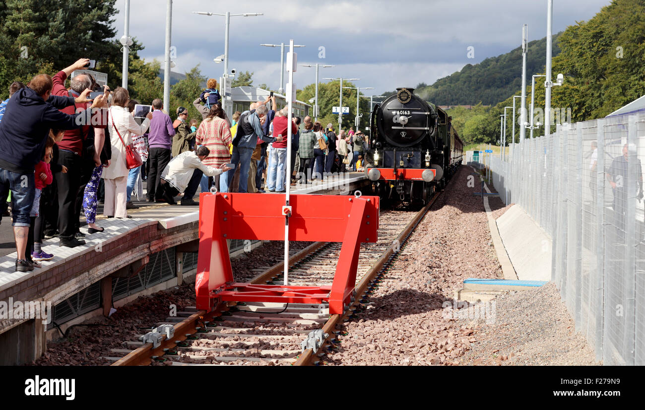 Tweedbank, UK. 13th Sep, 2015. Today on the 13th of September 2015 The 60163 steam train called the Tornado comes toTweedbank in the Scottish borders.Scotland Credit:  Mark Pink/Alamy Live News Stock Photo