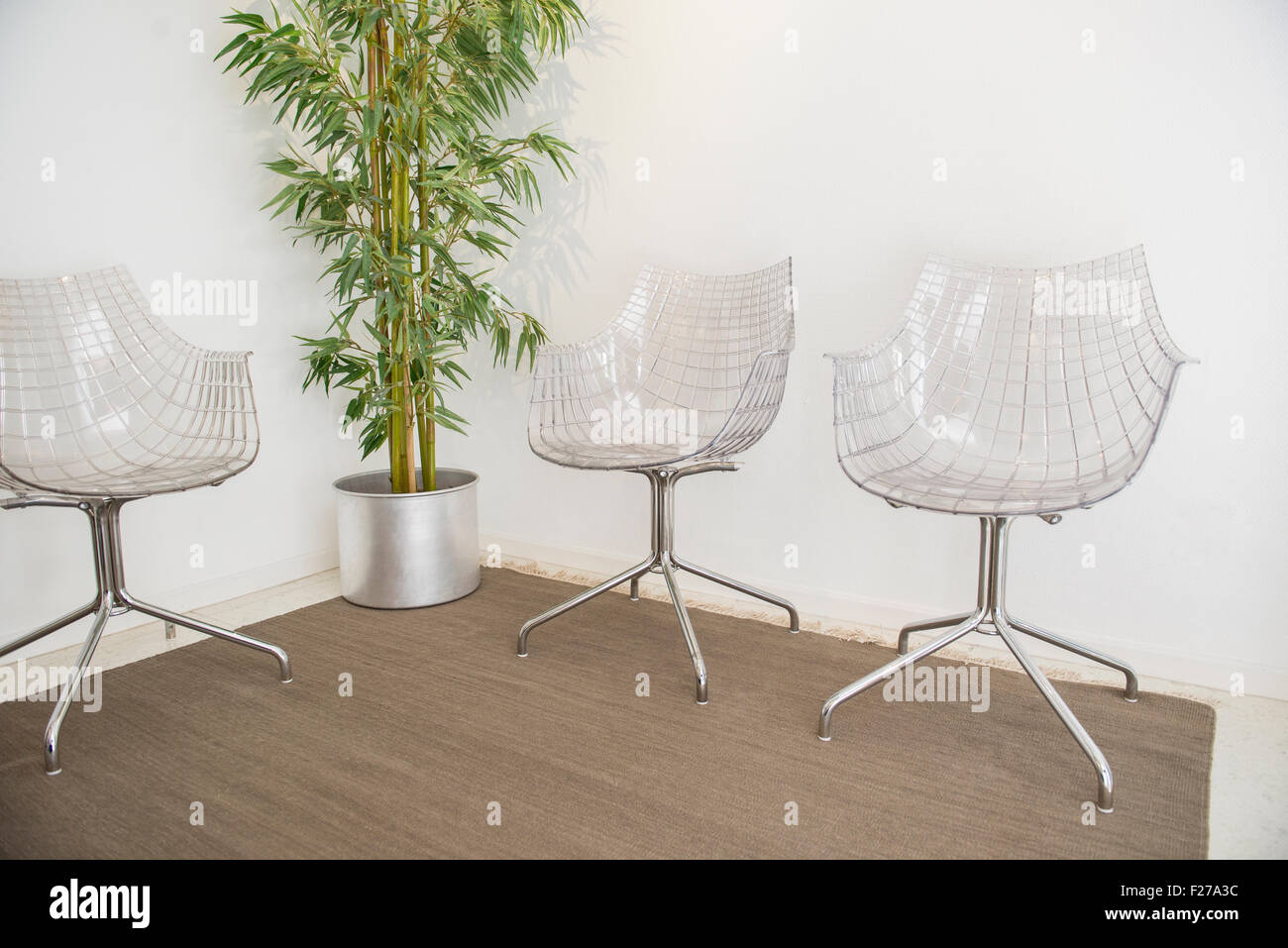 Hospital Waiting Room With Empty Chairs And Bamboo Plant Munich