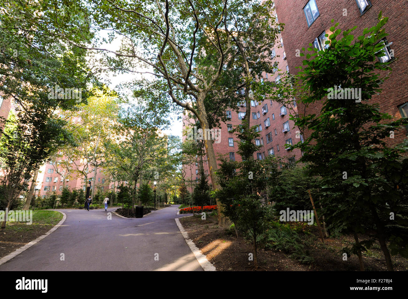 Stuyvesant Town apartment and landscaping in New York City, New York. Walkway through the