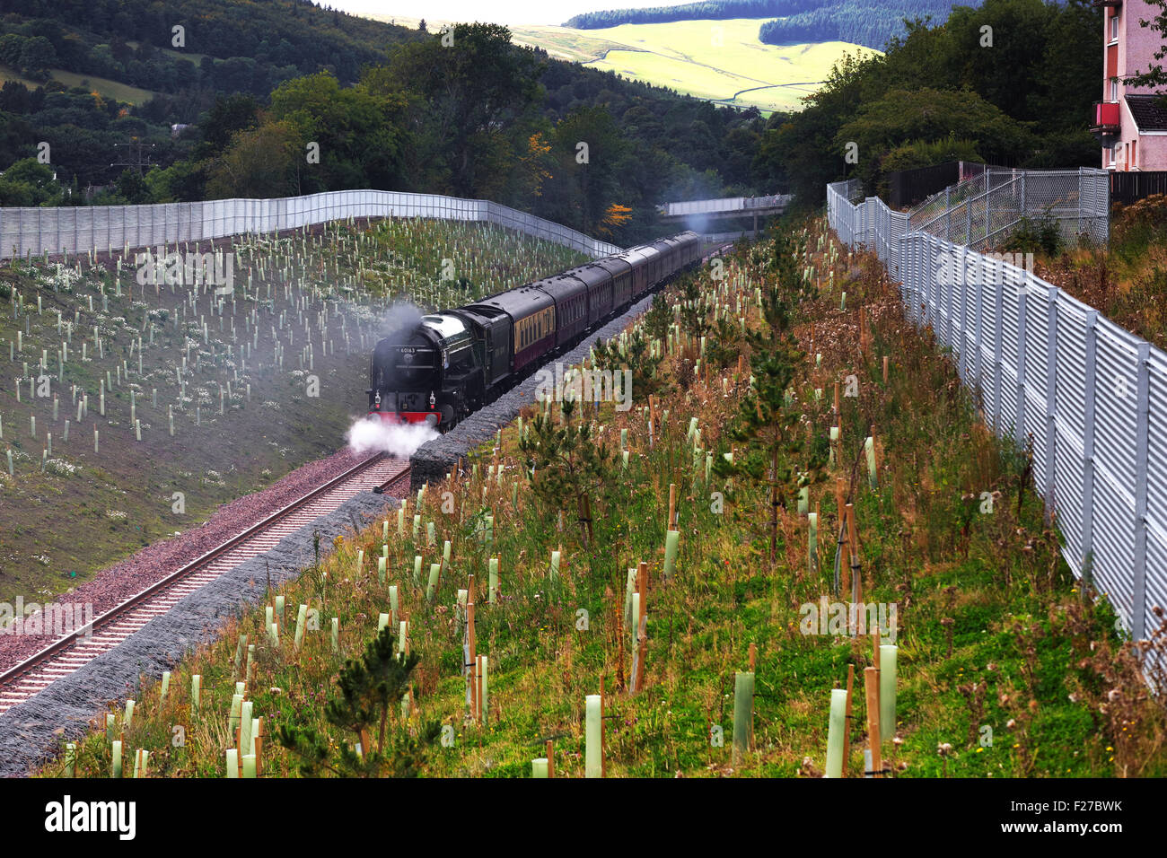 Tweedbank, UK. 13th Sep, 2015. On this day 13th September 2015 Steam train called tornado 60163 approaches Tweed bank station. One of the first steam trains to come after the Queen opened the line on the 9th of September.2015 Credit:  Mark Pink/Alamy Live News Stock Photo