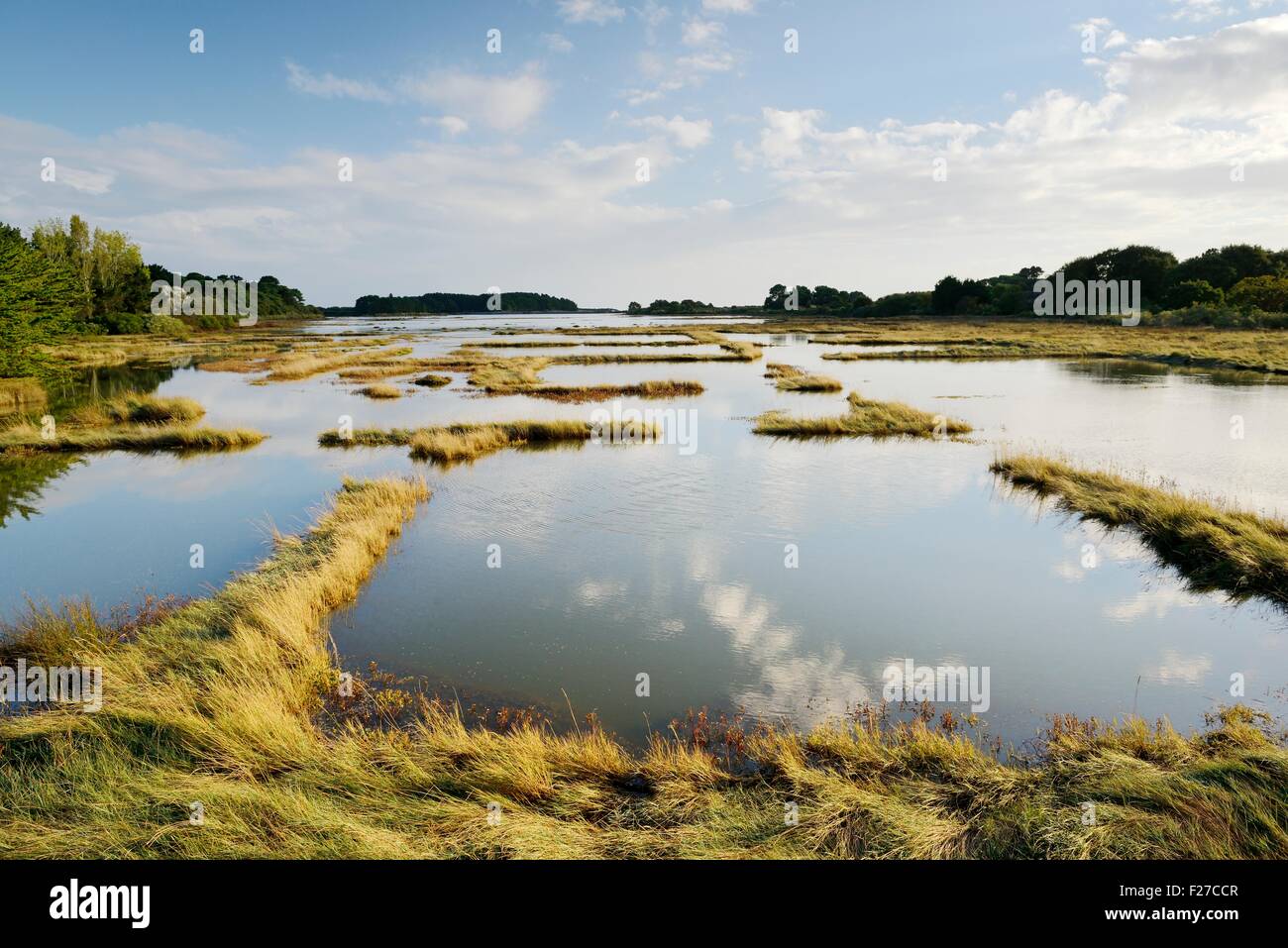 Ancient tidal oyster beds on the west side of resort of La Trinite sur Mer, Morbihan, Brittany, France Stock Photo
