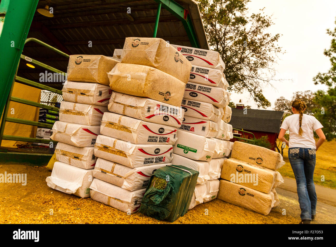 Calaveras County Fairgrounds in Angels Camp, California, USA. 12th September, 2015. Stacks of donated bedding for the animals displaced by the Butte Fire. Credit:  John Crowe/Alamy Live News Stock Photo