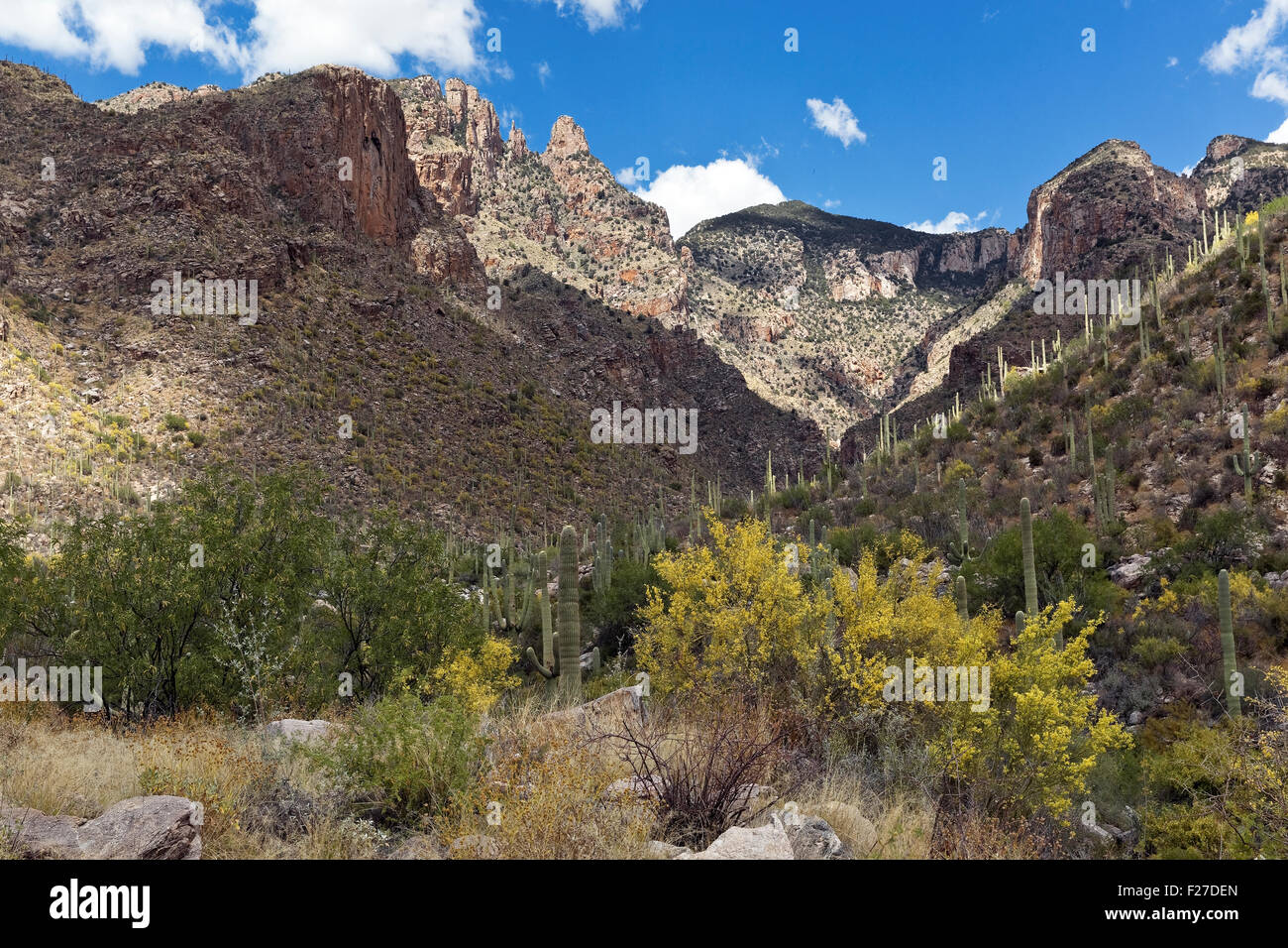 Finger Rock Canyon, Tucson, Arizona Stock Photo