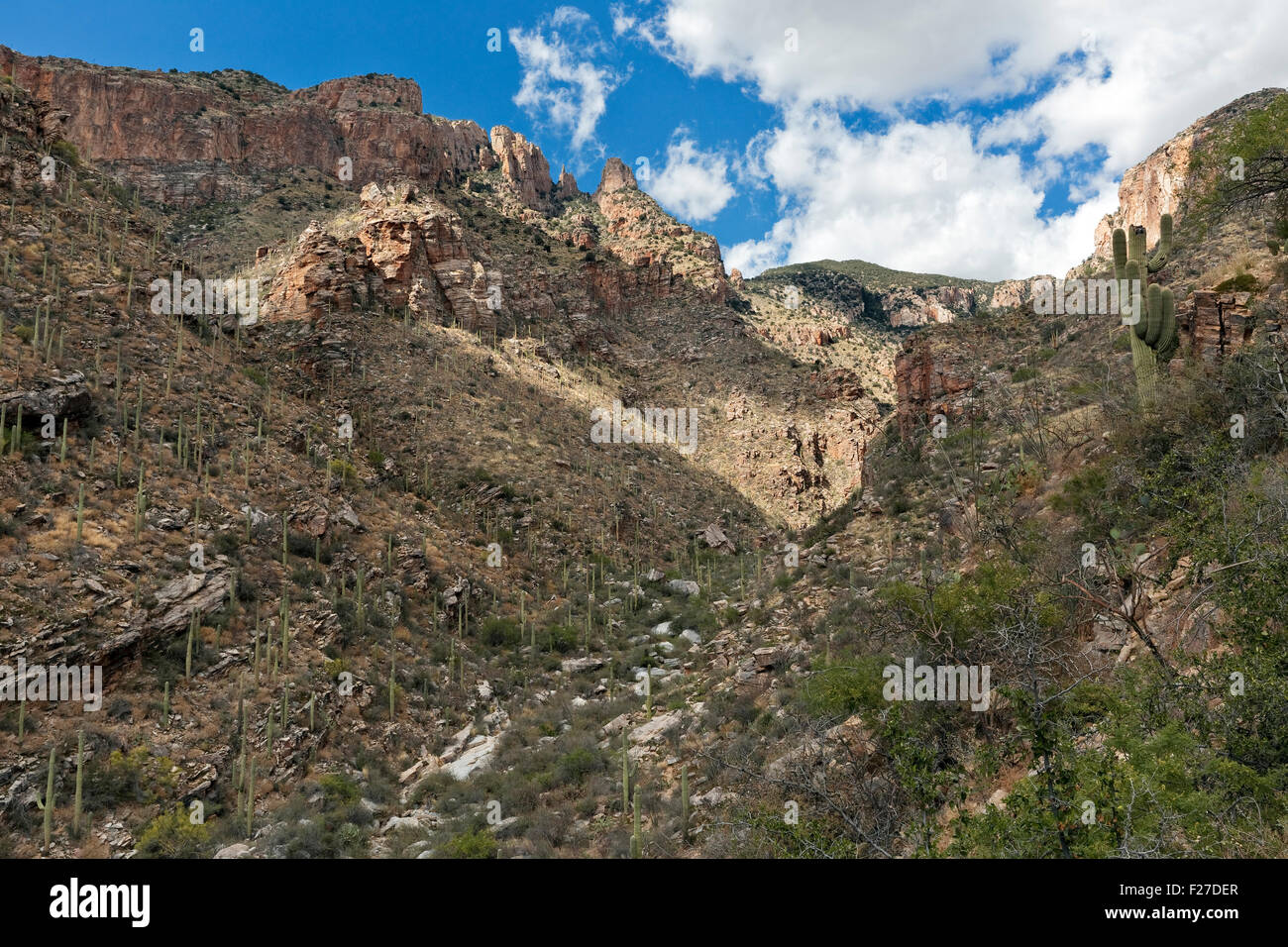 Finger Rock Canyon, Tucson, Arizona Stock Photo