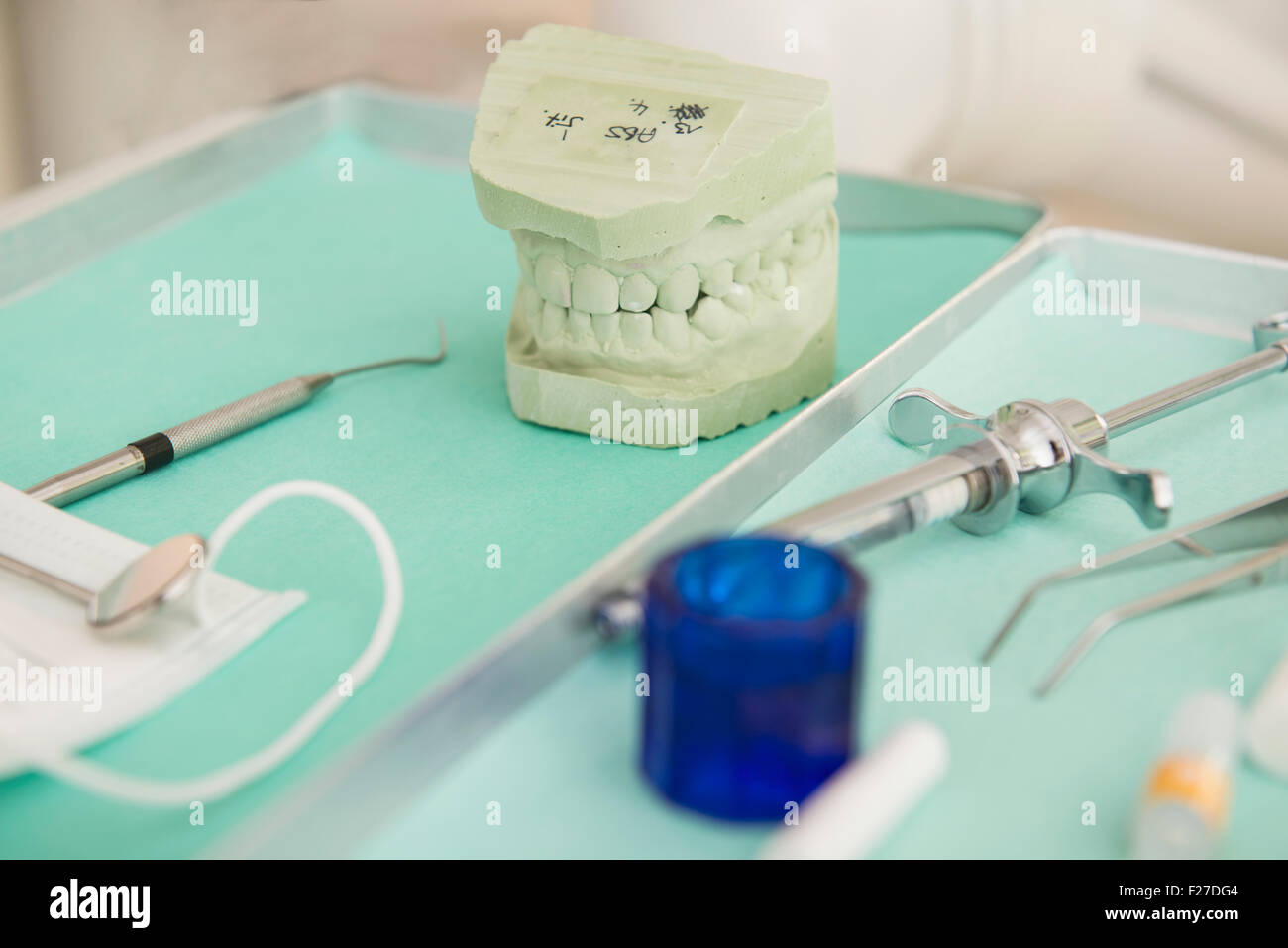 Dental instruments with dentures in tray, Munich, Bavaria, Germany