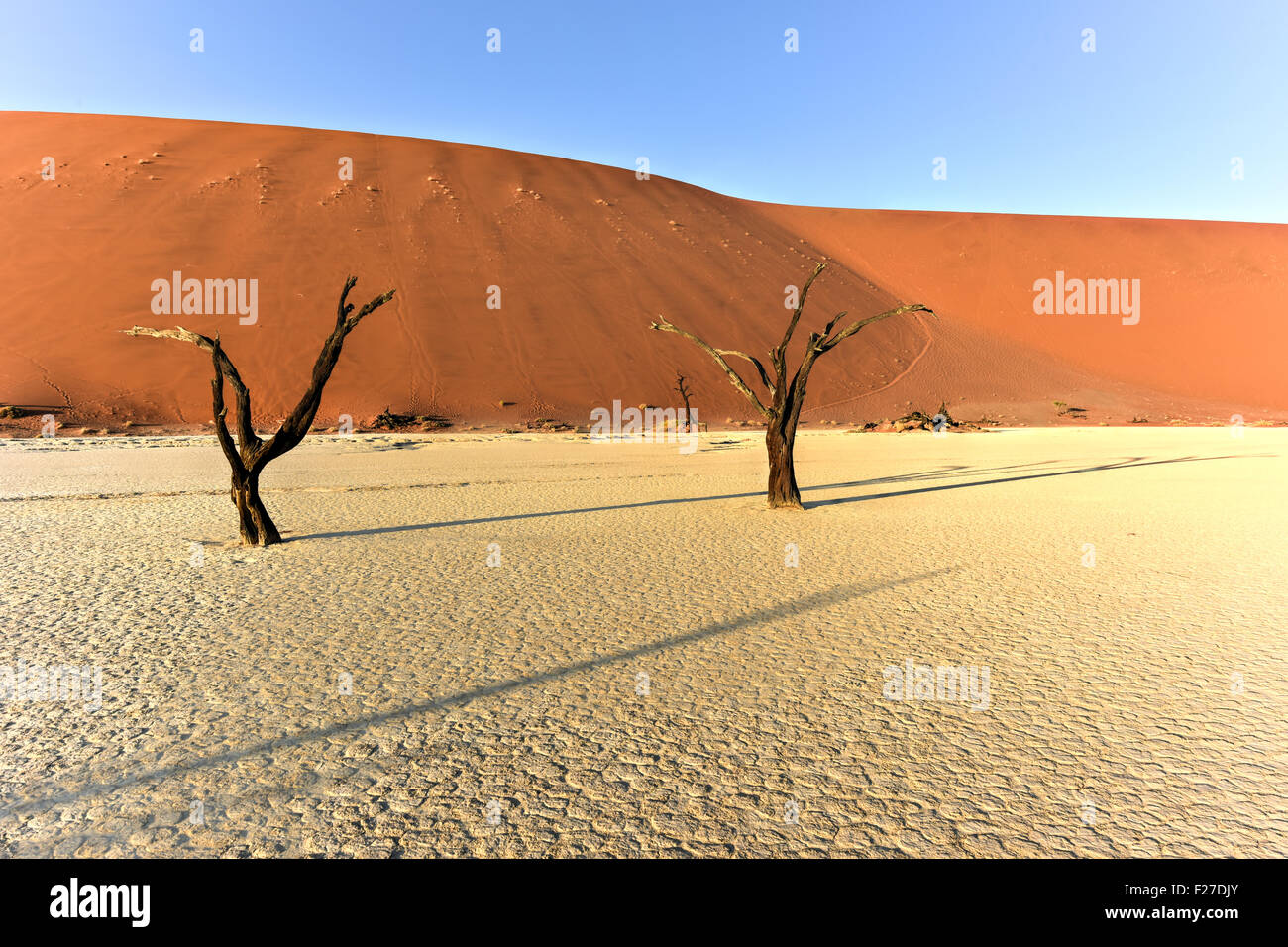 Dead Vlei in the southern part of the Namib Desert, in the Namib-Naukluft National Park of Namibia. Stock Photo