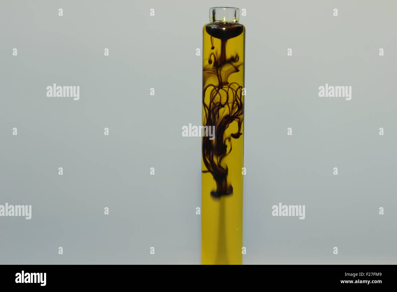 Black ink jellyfish inside a vial Stock Photo