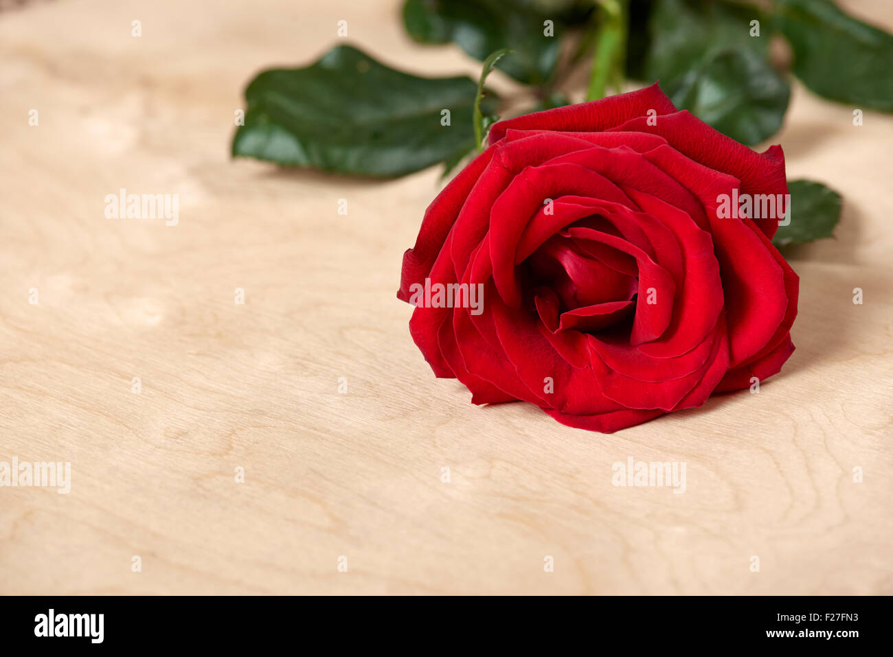 one red rose on bright wood background Stock Photo - Alamy