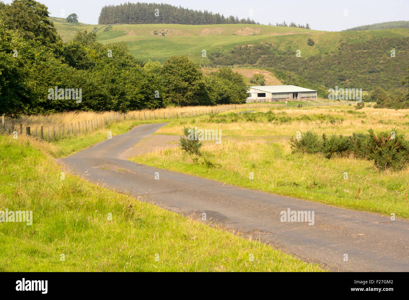 The road going through the Harthope valley near to the Cheviot hills in